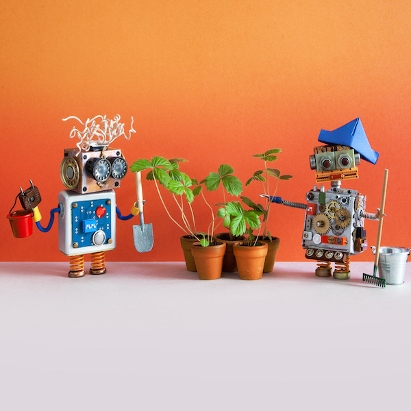 Develop a Global Community